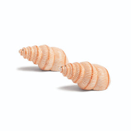 &Klevering - Coquille sel & poivre Bezig met laden...